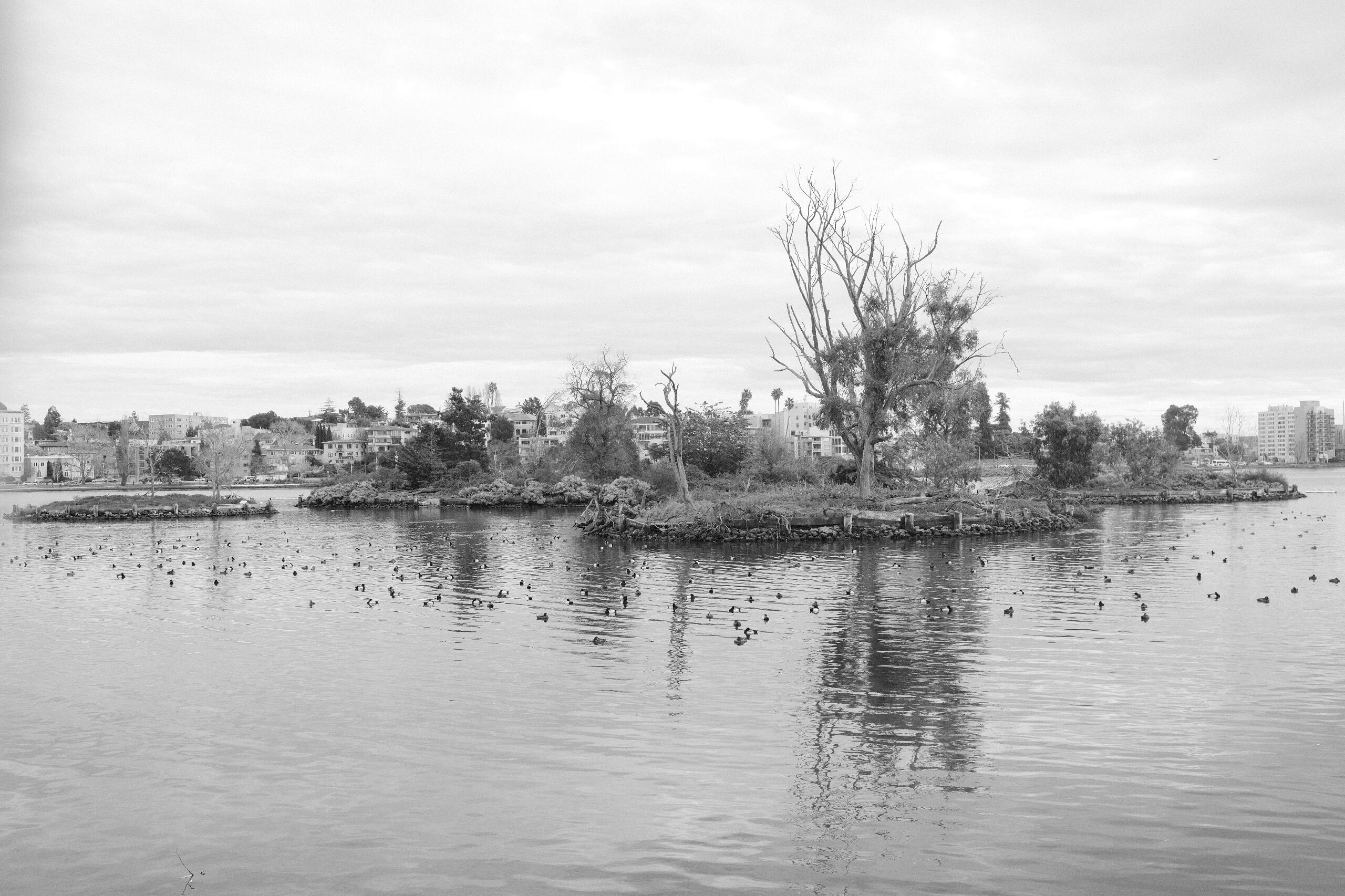 this is oakland not ellay but I really like the picture